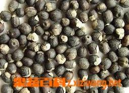 中药蔓荆子的功效与作用 中药蔓荆子的功效与作用及禁忌