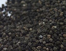 蚕沙的功效与作用 蚕沙的功效与作用及食用方法