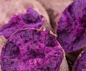 紫山芋跟什么食物相克 芋头和紫菜相克吗