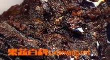 阿魏的功效和作用（阿魏的药效和功能）