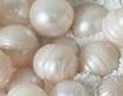 怎么正确服用珍珠粉 怎么正确服用珍珠粉呢