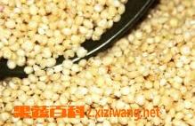 高粱米的功效与作用（高粱米的功效与作用及食用）