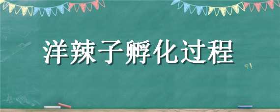 洋辣子孵化过程 洋辣子孵化过程图片