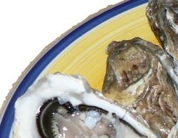 牡蛎的功效与作用 牡蛎的功效与作用与主治