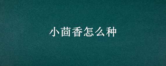 小茴香怎么种（小茴香怎么种发芽快）