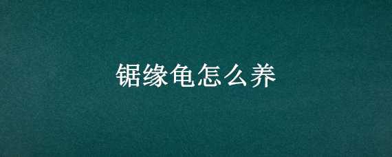 锯缘龟怎么养（锯缘龟如何饲养）