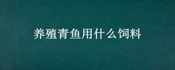 养殖青鱼用什么饲料