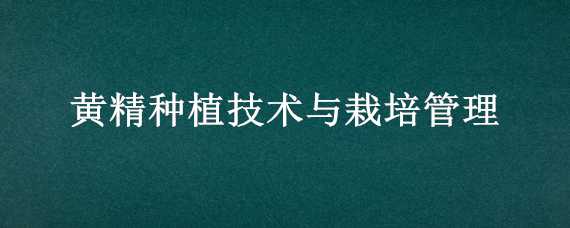 黄精种植技术与栽培管理