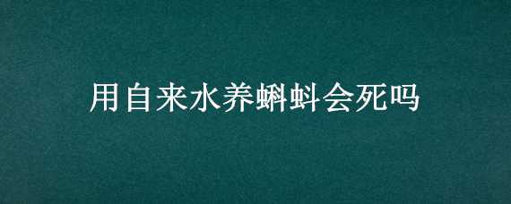 用自来水养蝌蚪会死吗 用自来水养蝌蚪蝌蚪会不会死