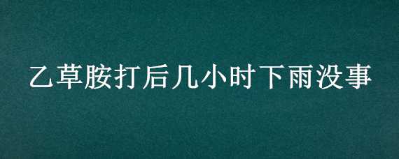 乙草胺打后几小时下雨没事