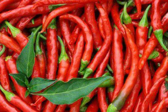 长期不吃辣椒的好处 长期不吃辣椒的好处有哪些