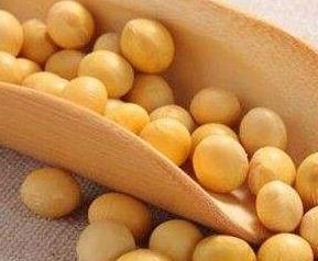 黄豆不能和什么一起吃 黄豆不能和什么一起吃古代文献