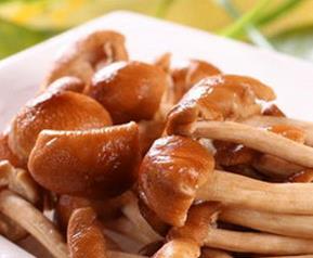 茶树菇的营养价值 茶树菇的营养价值及功效与作用