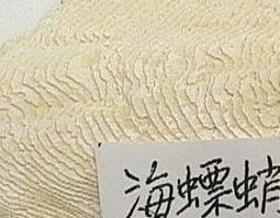 海螵蛸的功效与作用 海螵蛸的功效与作用及药用价值