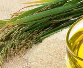 糠油的功效与作用 得乐康米糠油的功效与作用