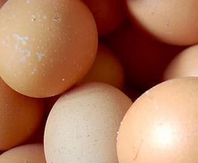 鸡蛋的功效与作用 鸡蛋的功效与作用及禁忌