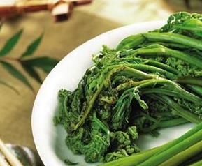 蕨菜的功效与作用 蕨菜的功效与作用及食用方法