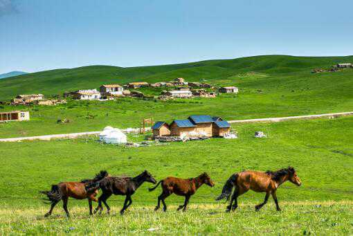 新疆家庭农场注册条件有哪些（新疆家庭农场注册条件有哪些要求）