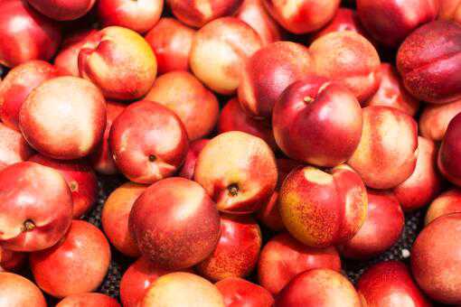 各地油桃几月份成熟上市？这几种油桃最好吃！
