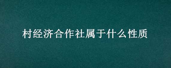 村经济合作社属于什么性质（农村经济合作社属于什么性质）