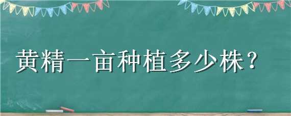 黄精一亩种植多少株（黄精一亩栽多少株）