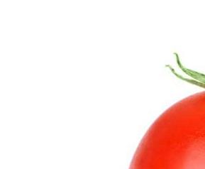 番茄的药用价值 番茄的药用功效与作用