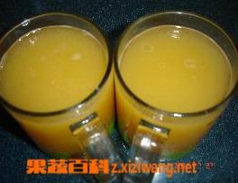 木瓜果汁的常用做法 木瓜果汁的做法大全