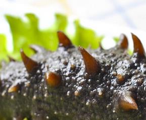 海参的食用方法 海参如何食用最方便