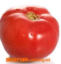 番茄如何发新芽 番茄怎么发芽