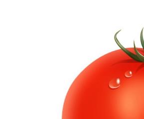 吃番茄的益处 吃番茄有什么好处和坏处
