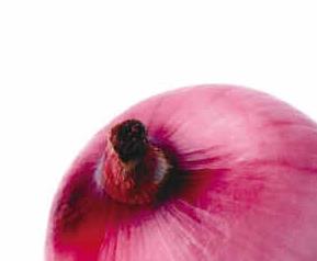紫洋葱的营养价值和营养成分（紫色洋葱的营养）