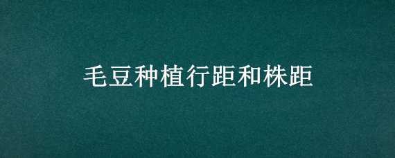 毛豆种植行距和株距