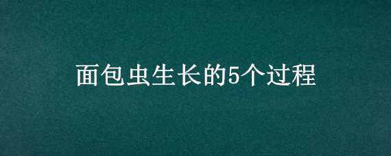 面包虫生长的5个过程 面包虫生长的5个过程视频