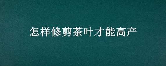 怎样修剪茶叶才能高产（茶叶的栽培和修剪技术）