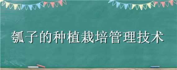 瓠子的种植栽培管理技术