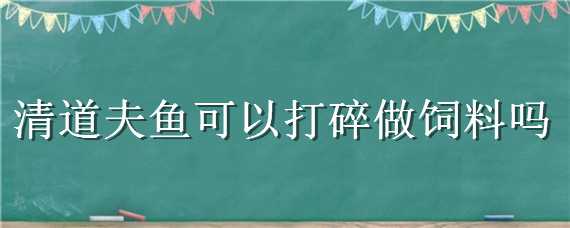 清道夫鱼可以打碎做饲料吗