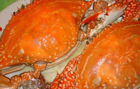 梭子蟹的营养价值