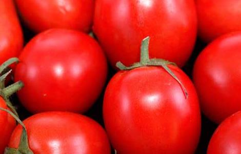 西红柿如何祛斑 西红柿如何祛斑美白