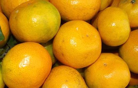 橘子的功效与作用 橘子的功效与作用及禁忌