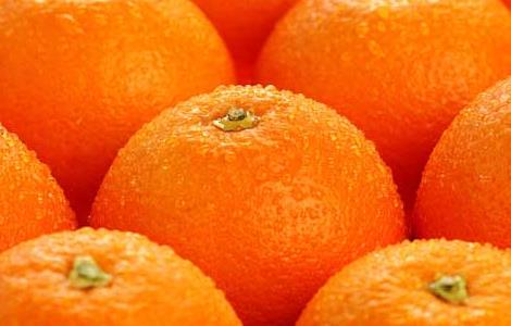 孕妇可以吃橘子吗 孕妇可以吃橘子吗早期