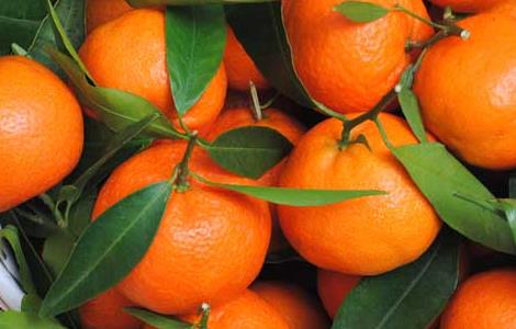 橘子不能和什么一起吃 橘子不能和什么一起吃 禁忌