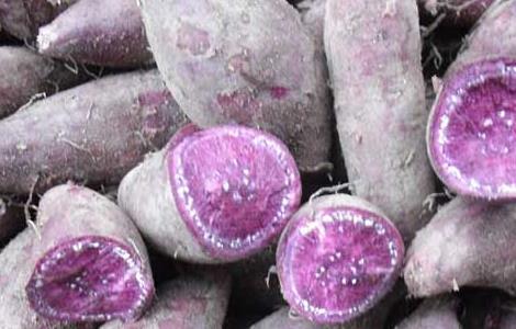 紫薯不能和什么一起吃