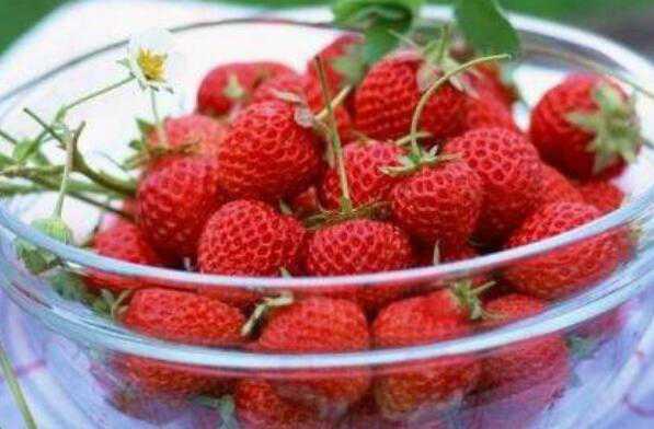 吃草莓对皮肤有什么好处（吃草莓对皮肤有什么好处吗）