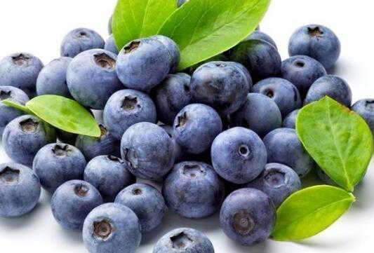 蓝莓怎么洗才干净，蓝莓的清洗方法 怎样洗蓝莓干净