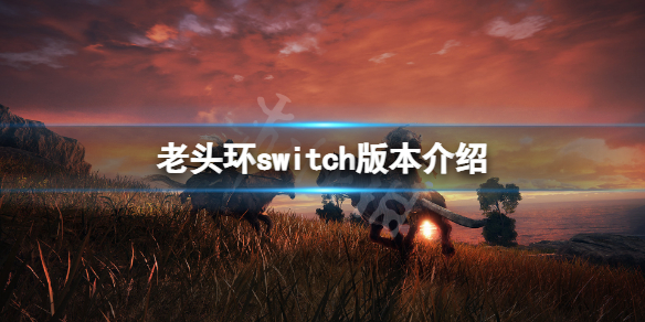 艾尔登法环switch能玩吗 老头环switch版本介绍