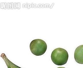 豌豆的药用价值 豌豆的药用价值及功效