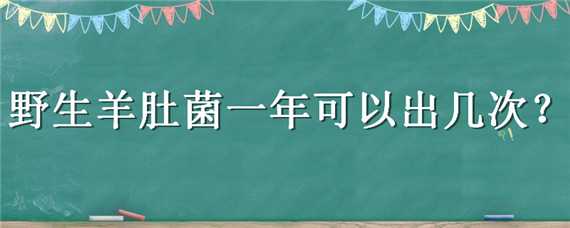 野生羊肚菌一年可以出几次（羊肚菌一年有几次可摘）