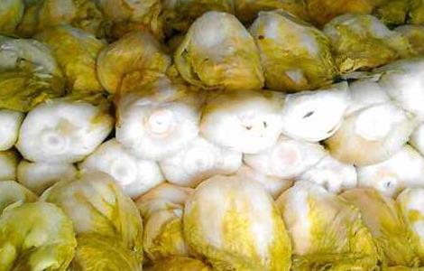 芥菜的腌制方法