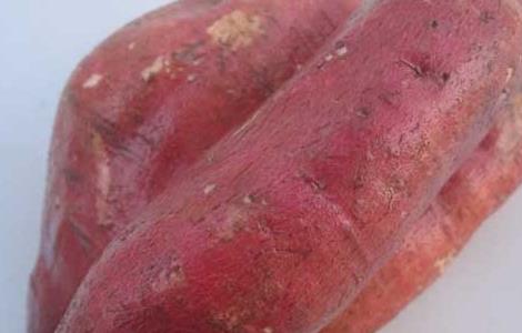 红薯减肥法怎么吃 红薯减肥法怎么吃最有效
