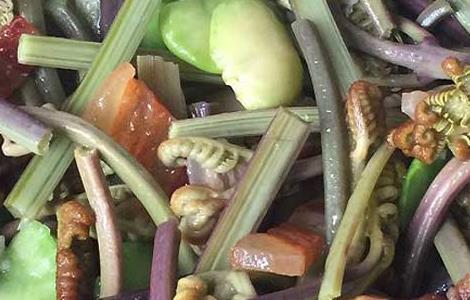 素炒蕨菜的功效及做法 素炒蕨菜的功效及做法窍门